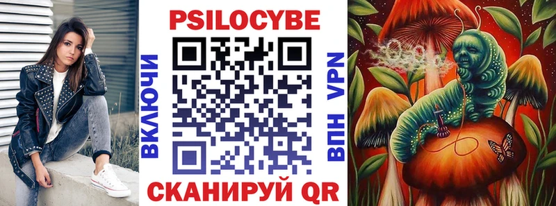 Псилоцибиновые грибы Cubensis  Купить  Новопавловск 