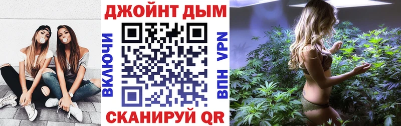 Каннабис планчик  Купить закладки  Новопавловск 